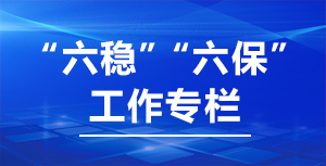 “六稳”“六保”工作专栏